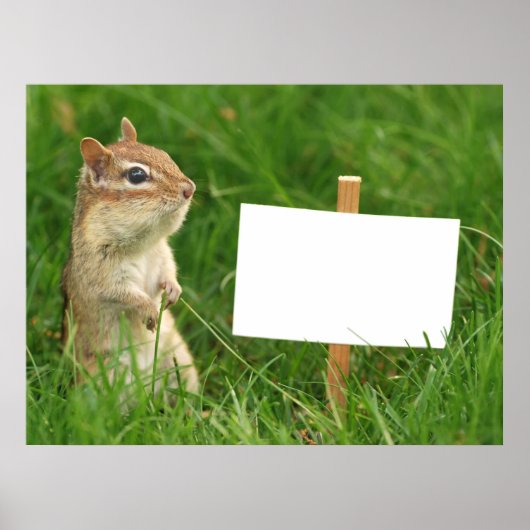 chipmunk met blanco teken poster (Voorkant)