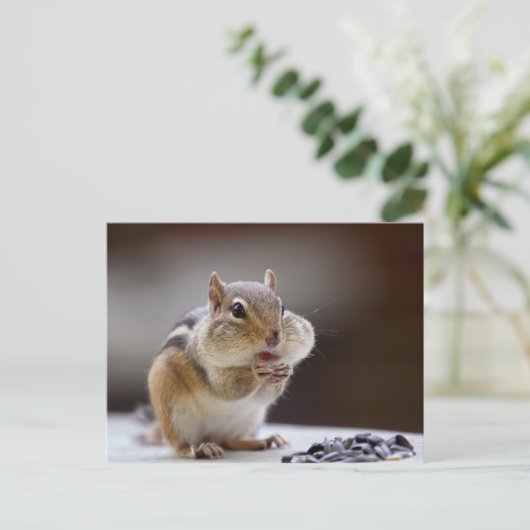 Chipmunk met Cheeks Volledige foto Briefkaart (Staand voorkant)