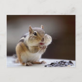 Chipmunk met Cheeks Volledige foto Briefkaart (Voorkant)