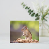 Chipmunk met pinda's briefkaart (Staand voorkant)