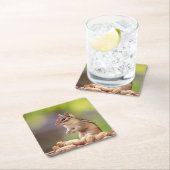 Chipmunk met pinda's kartonnen onderzetters (Insitu)