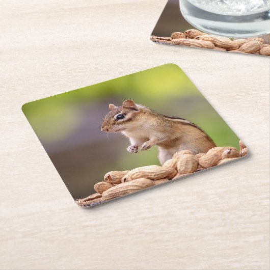 Chipmunk met pinda's kartonnen onderzetters (Schuin)