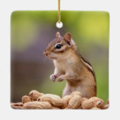 Chipmunk met pinda's keramisch ornament (Achterkant)