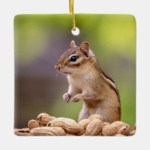 Chipmunk met pinda's keramisch ornament