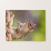 Chipmunk met pinda's legpuzzel (Horizontaal)