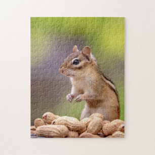 Chipmunk met pinda's legpuzzel