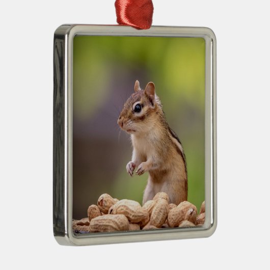 Chipmunk met pinda's metalen ornament (Rechts)