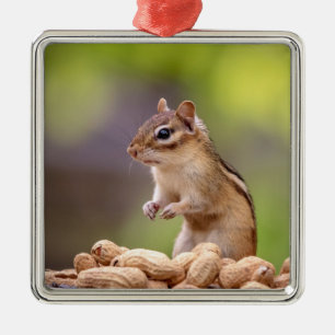 Chipmunk met pinda's metalen ornament