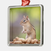 Chipmunk met pinda's metalen ornament (Links)
