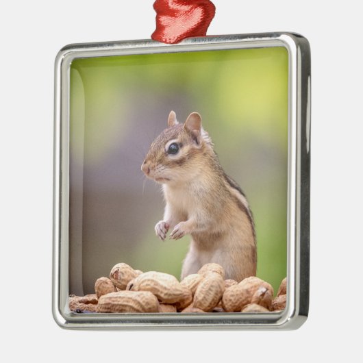 Chipmunk met pinda's metalen ornament (Links)