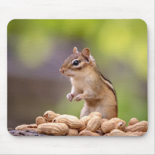 Chipmunk met pinda's muismat
