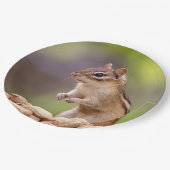 Chipmunk met pinda's papieren bordje (Gekanteld)