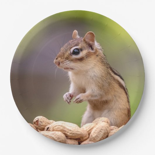 Chipmunk met pinda's papieren bordje (Voorkant)