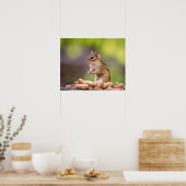 Chipmunk met pinda's poster (Keuken)