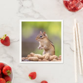 Chipmunk met pinda's servet (Insitu)