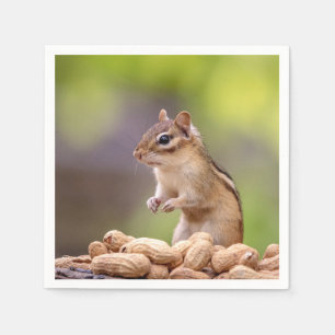 Chipmunk met pinda's servet