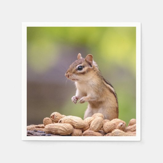 Chipmunk met pinda's servet (Voorkant)