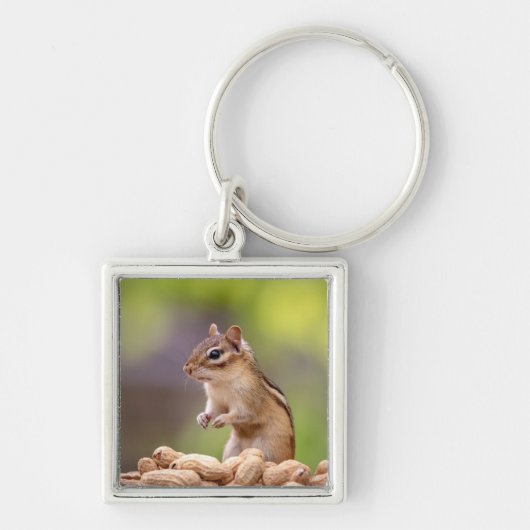 Chipmunk met pinda's sleutelhanger (Voorkant)