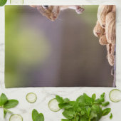 Chipmunk met pinda's theedoek (Gevouwen)