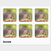 Chipmunk met pinda's vierkante sticker (Vel)