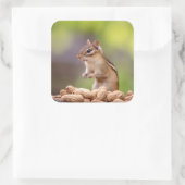 Chipmunk met pinda's vierkante sticker (Tas)