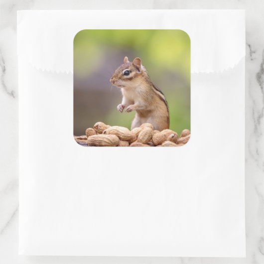 Chipmunk met pinda's vierkante sticker (Tas)