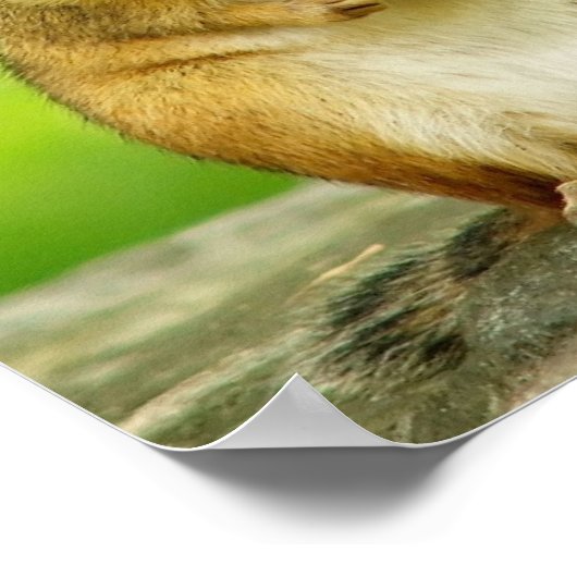Chipmunk met Poster Treat (Hoek)