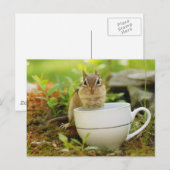 Chipmunk met Teacup Briefkaart (Voorkant / Achterkant)
