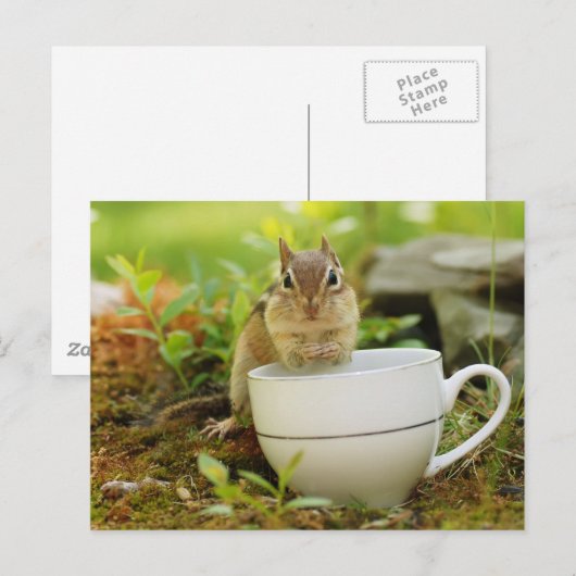 Chipmunk met Teacup Briefkaart (Voorkant / Achterkant)