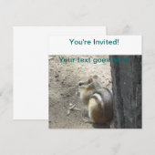 Chipmunk Midland Ontario Kaart (Voorkant / Achterkant)