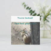 Chipmunk Midland Ontario Kaart (Staand voorkant)