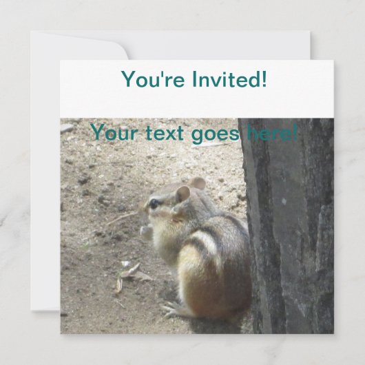 Chipmunk Midland Ontario Kaart (Voorkant)