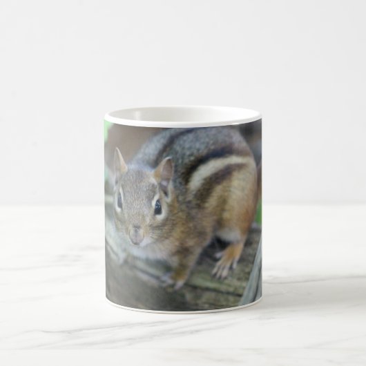 Chipmunk mok (Center)