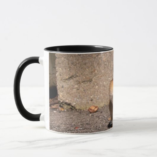 Chipmunk - Mok (Links)