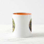 Chipmunk-Mok Mok (Midden)