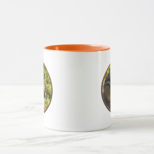 Chipmunk-Mok Mok (Midden)