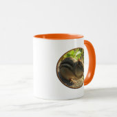 Chipmunk-Mok Mok (Voorkant rechts)