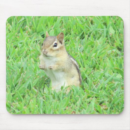 Chipmunk-Muismat Muismat (Voorkant)
