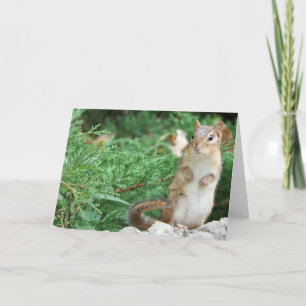 Chipmunk Notecard Kaart