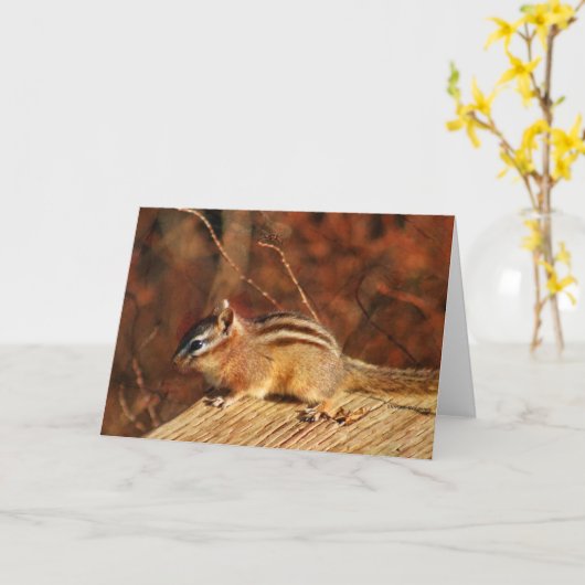 Chipmunk Occasional Card Kaart (Gele Bloem)