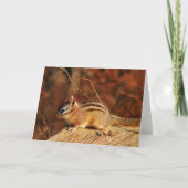 Chipmunk Occasional Card Kaart (Voorkant)