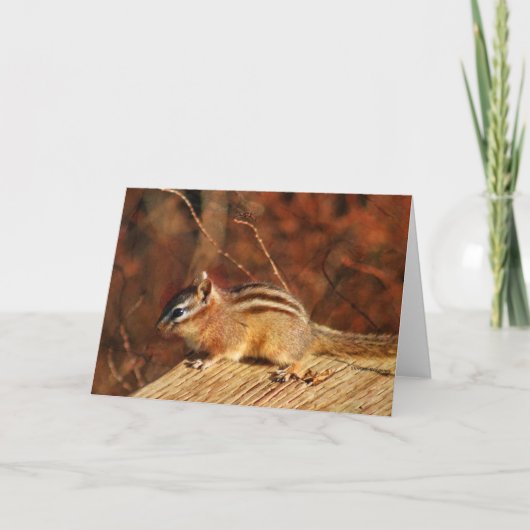 Chipmunk Occasional Card Kaart (Voorkant)