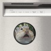 Chipmunk OMG Button. Magneet (Insitu (Vaatwasser))