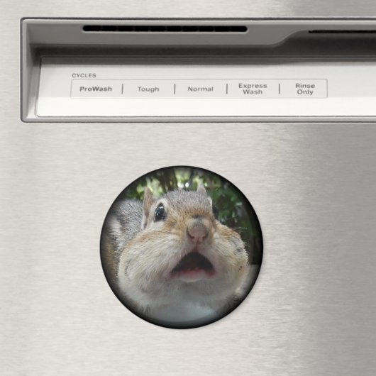 Chipmunk OMG Button. Magneet (Insitu (Vaatwasser))