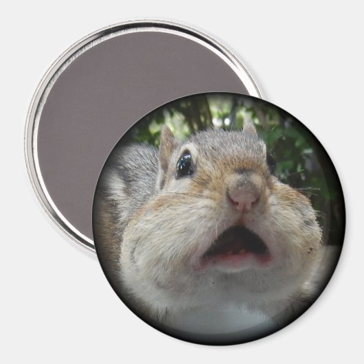 Chipmunk OMG Button. Magneet (Voorkant / Achterkant)