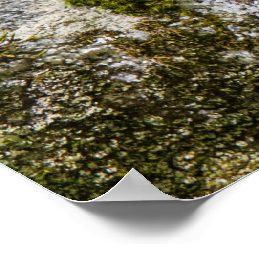 Chipmunk on Patrol Poster (Hoek)