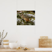Chipmunk on Patrol Poster (Keuken)
