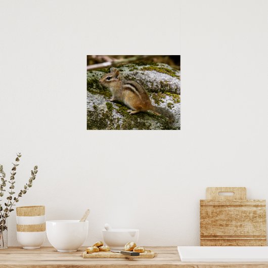 Chipmunk on Patrol Poster (Keuken)