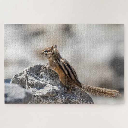 Chipmunk op de rotsen – Wilde leven-momentopname Legpuzzel (Horizontaal)