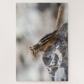 Chipmunk op de rotsen – Wilde leven-momentopname Legpuzzel (Verticaal)